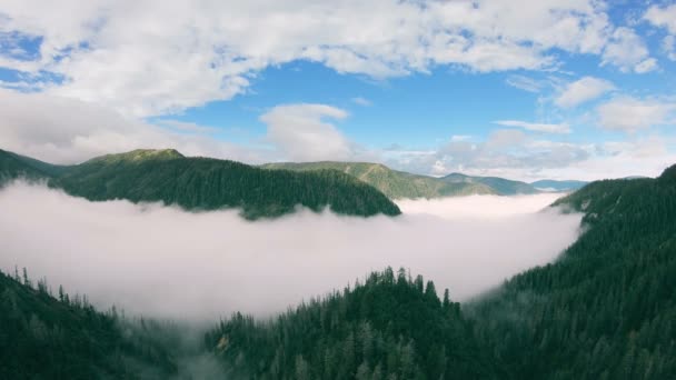 산 풍경의 파노라마. 계곡은 안개와 숲이 우거진 산으로 가득 차 있습니다. 360 — 비디오