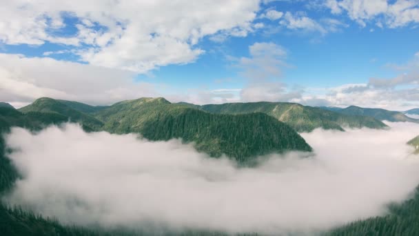 Επική πρωινή πτήση πάνω από την όμορφη κοιλάδα που περιβάλλεται από βουνά γεμάτα ομίχλη — Αρχείο Βίντεο