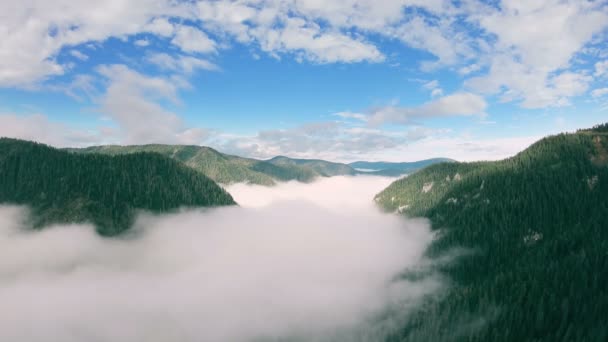 Flygfoto över bergslandskapet. Drone flyger upp över dalen fylld med dimma — Stockvideo