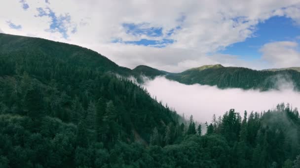 Drohne fliegt langsam über dem grünen Wald in nebligen Bergen — Stockvideo