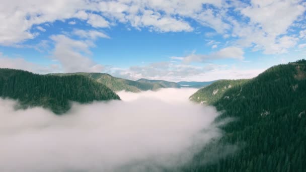 Flyger i bergen över en grön dal fylld med dimma — Stockvideo