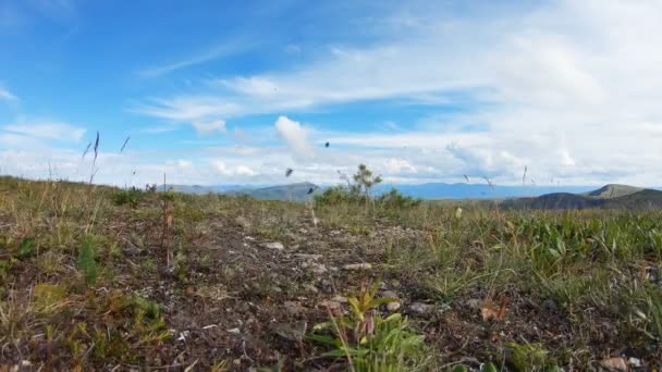 Lancement de drones dans les montagnes. Quadcopter décolle sur une vallée pittoresque — Video