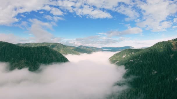 Drönaren stiger sakta upp över den gröna skogsklädda dalen fylld med dimma — Stockvideo