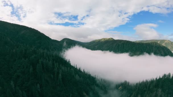 Panorama del paisaje montañoso. Valle lleno de niebla y montañas boscosas — Vídeos de Stock