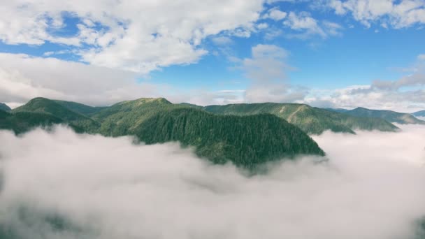 Flygfoto över dimmiga sibiriska bergen — Stockvideo