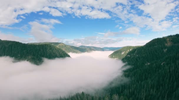 Flyger längs en dal fylld med dimma. Flygfoto över bergslandskapet — Stockvideo