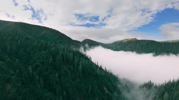 Drone se elevan sobre las montañas boscosas verdes brumosas — Vídeos de Stock