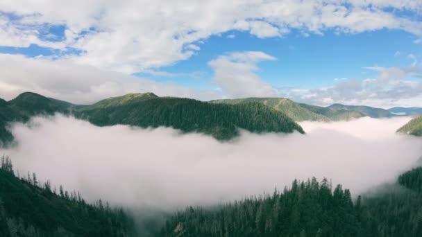 Luchtfoto van vallei gevuld met mist — Stockvideo