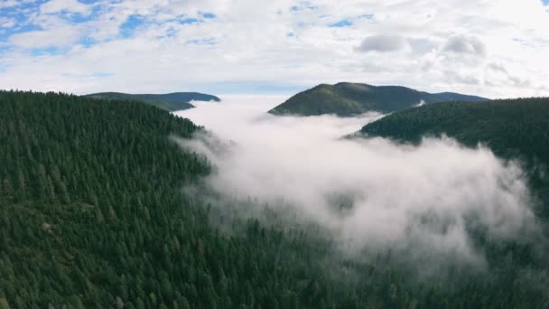 Vista aérea del increíble valle verde. Drone volando sobre el bosque y la niebla — Vídeos de Stock