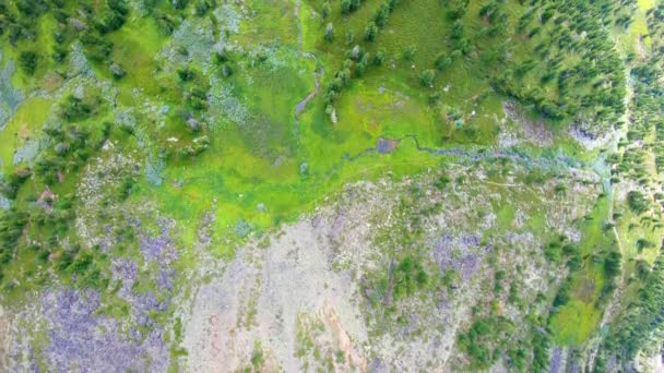 Bergslandskap. Upp och ner. Flygskott — Stockvideo