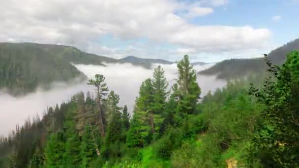 Remplissage de brouillard d'une vallée de montagne. Délai imparti — Video