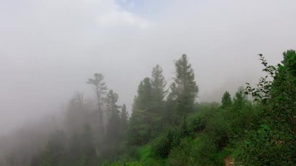 Le brouillard se dissipe et la vue sur la vallée de montagne s'ouvre. Délai imparti — Video