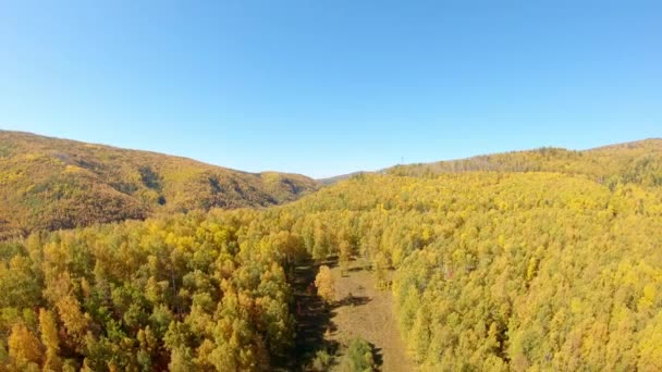 Вид с воздуха на лесной край — стоковое видео