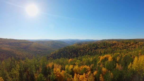 Drone flyger ner över de vackra färgglada träden i höstskogen — Stockvideo