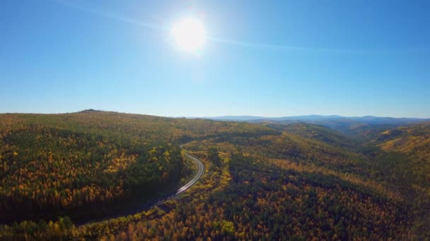 Flygfoto över höst skog och järnväg — Stockvideo