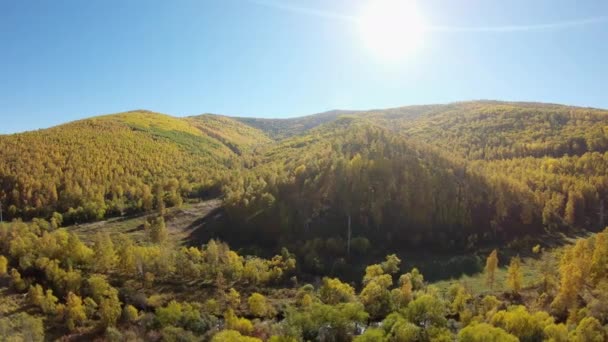 Colinas arboladas en otoño con vista de pájaros — Vídeo de stock