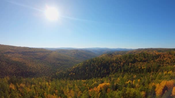 Drone slowly flies over beautiful autumn forest — Stock Footage Drone slowly flies over beautiful autumn forest Royalty Free Stock Video