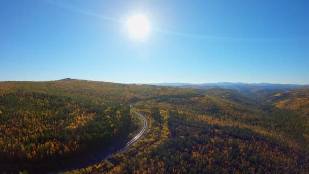 Flyg över höst skog och järnväg — Stockvideo