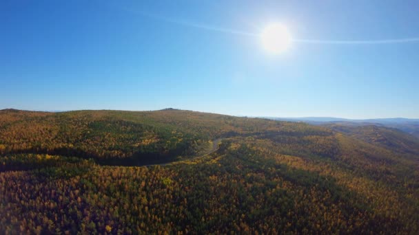 Вид с воздуха на железную дорогу, расположенную в лесу — стоковое видео