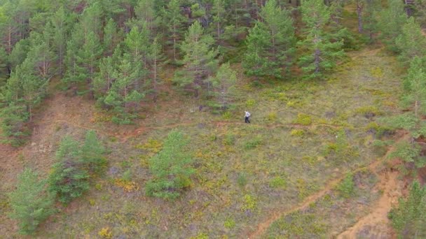 Mujer con una mochila camina sobre una empinada ladera boscosa de la montaña — Vídeos de Stock