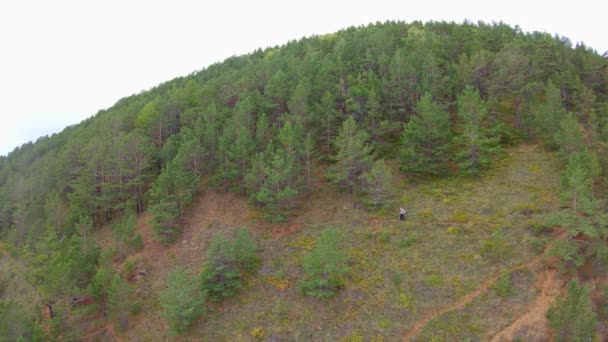 Seguimiento aéreo de una chica con mochila que va por la ladera de la montaña — Vídeos de Stock