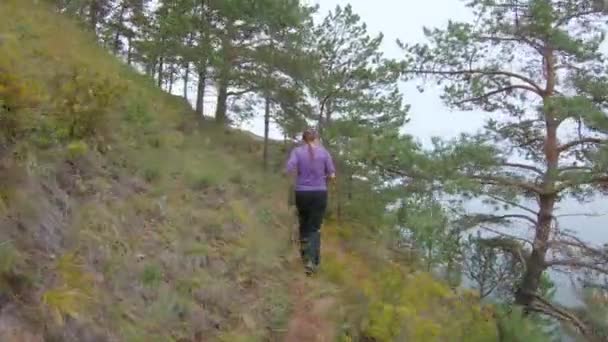 Flickan springer uppför berget med vacker utsikt, hoppar upp, kastar upp händerna — Stockvideo