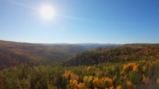 Vista aérea de árvores coloridas de outono — Vídeo de Stock