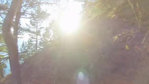 Ragazza sale sulla collina in una giornata di sole luminoso. Vista posteriore — Video Stock