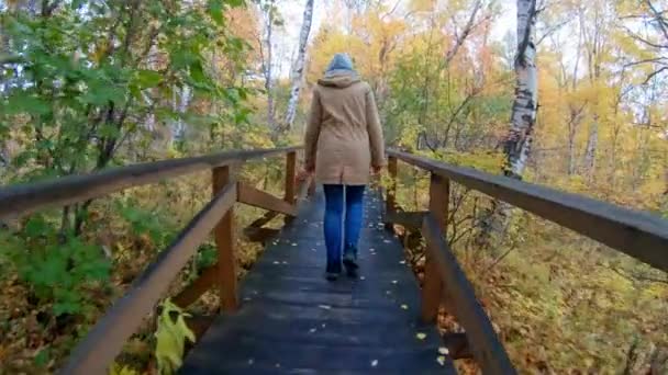 Kapüşonlu bir kadın sonbahar ormanında ekolojik bir patikadan yükselir. — Stok video