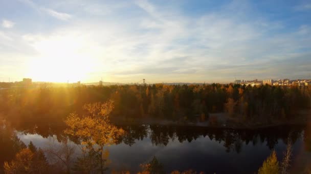 Volando sobre un estanque de la ciudad rodeado de amarillos árboles de otoño al atardecer — Vídeo de stock