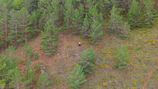 Κορίτσι πηγαίνει από μονοπάτι της βουνοπλαγιάς. Στιγμιότυπο — Αρχείο Βίντεο