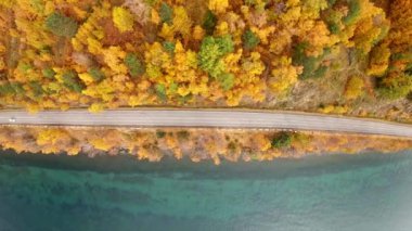 Sonbaharda kıyı yolu boyunca beyaz bir araba sürüyor. Yukarıdan aşağıya doğru.