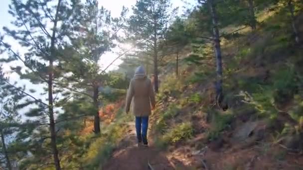 Turista mujer caminando en la costa del otoño en el soleado día de otoño. Vista trasera — Vídeo de stock