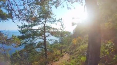 Walking along the steep high shore in sunny day. POV