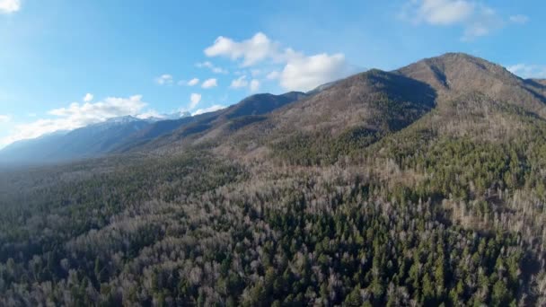 Vista aérea de montanhas, floresta e céu azul com nuvens — Vídeo de Stock