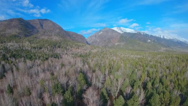 Vue aérienne du beau paysage de montagne — Video