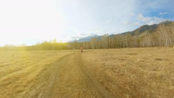 Menina caminha ao longo de uma estrada rural no meio do campo em direção à floresta — Vídeo de Stock