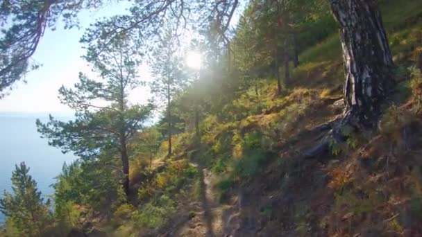 Promenez-vous sur la côte par une journée d'automne ensoleillée. Mouvement lent 