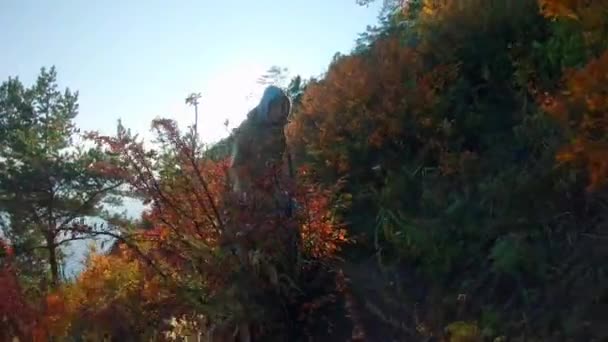 Dívka kráčí po stezce mezi žlutými podzimními keři na strmém svahu — Stock video