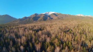 Güzel dağ manzarasının hava görüntüsü. Ağaçların ve dağların havadan görünüşü