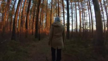 Gün batımında ya da gün doğumunda ormanda yürüyen bir kız. Arka plan, takip çekim, yavaş çekim