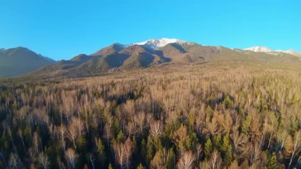 Εναέρια λήψη όμορφου ορεινού τοπίου. Αεροφωτογραφία των κορυφών των δέντρων και των βουνών — Αρχείο Βίντεο