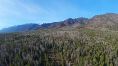 İnsansız hava aracı dağlık bir bölgedeki bir orman yolunun üzerinden uçuyor.