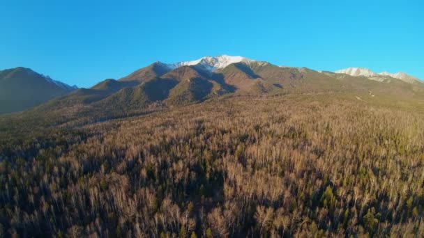 Vista aérea del bosque y las montañas al atardecer — Vídeo de stock