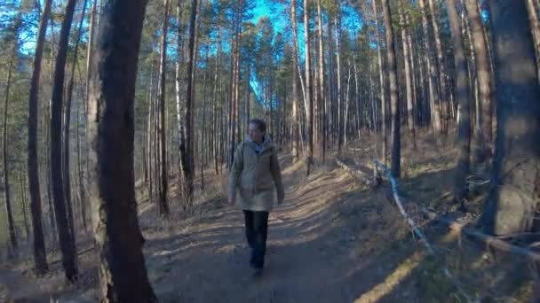 Ragazza che cammina nel bosco. Vista frontale, inseguimento, rallentatore — Video Stock