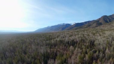 Drone ormanın üzerinden uçuyor. Dağ aralığının hava görüntüsü