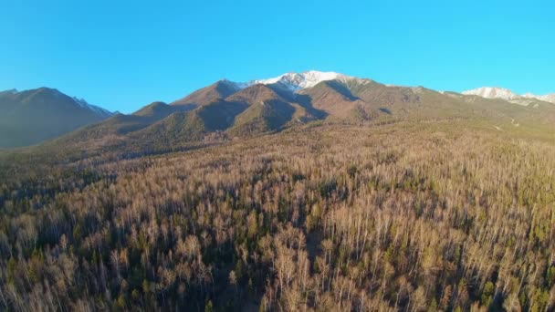 Drone decola sobre a floresta no sopé da cordilheira Sayan — Vídeo de Stock