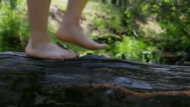 Çıplak ayaklı bir kız yeşil bir ormanda bir kütükte yürür. Bacaklar yakın plan. 4K