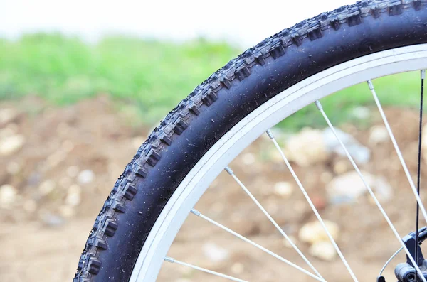 Bisiklet tekerleği fotoğraf tarafından gelen