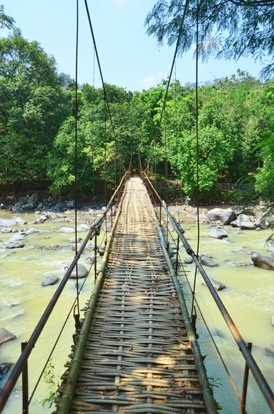 Eski paslı bambu köprünün bir nehir orman yukarıda